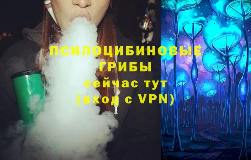 Псилоцибиновые грибы Magic Shrooms Лабытнанги